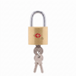 CJSJ Travel Sentry Key Luggage Padlock with 2 Keys – Gold